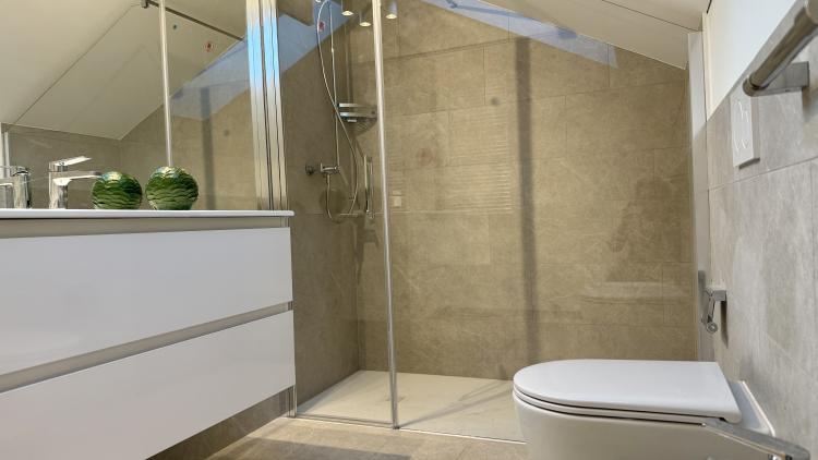 Bellissimo attico 3,5 locali ammobiliato e climatizzato completamente ristrutturato in prima locazione