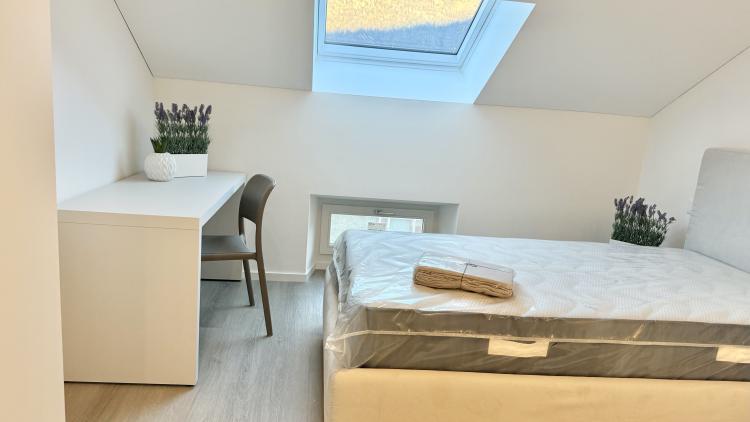 Bellissimo attico 3,5 locali ammobiliato e climatizzato completamente ristrutturato in prima locazione