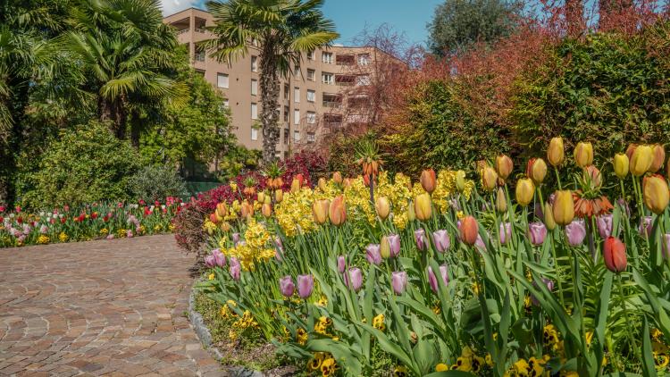 2 locali a Lugano Cassarate